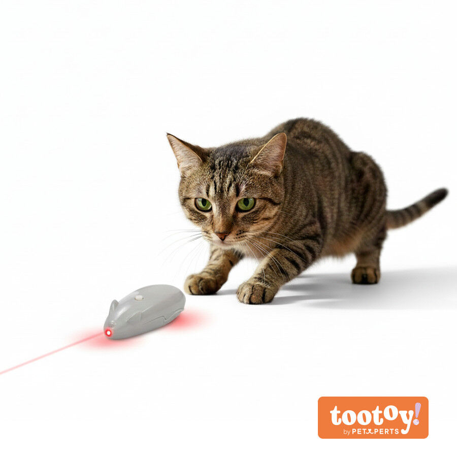 Tootoy! Rat&oacute;n L&aacute;ser Interactivo para gatos, , large Imagen numero 10